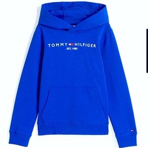 Tommy Hilfiger Kids Blue Hoodie